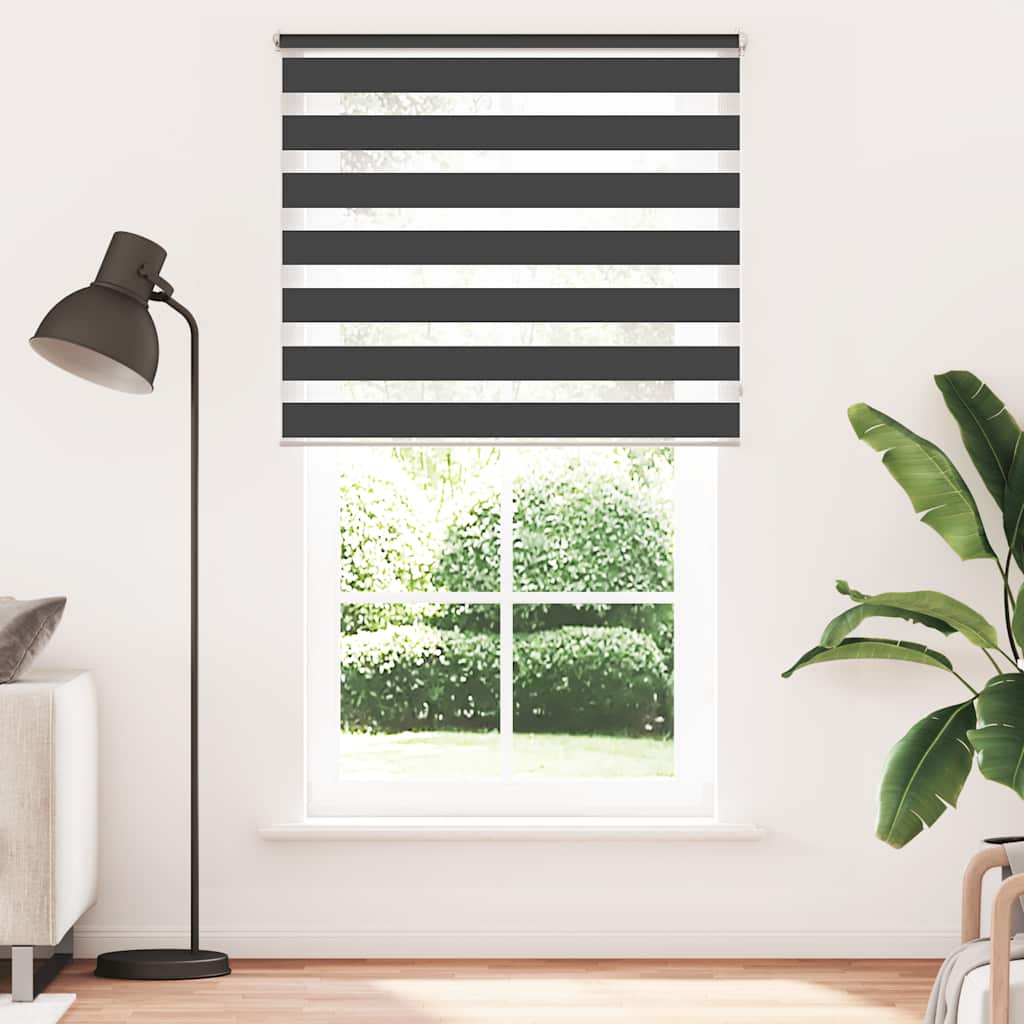 Doppelrollo 120 x 230 cm schewarz