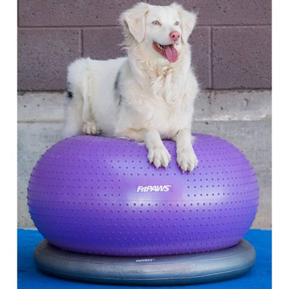 Fitnessball für Hunde TRAX Donut 55 cm Lila