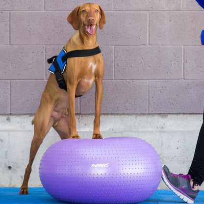 Fitnessball für Hunde TRAX Donut 55 cm Lila
